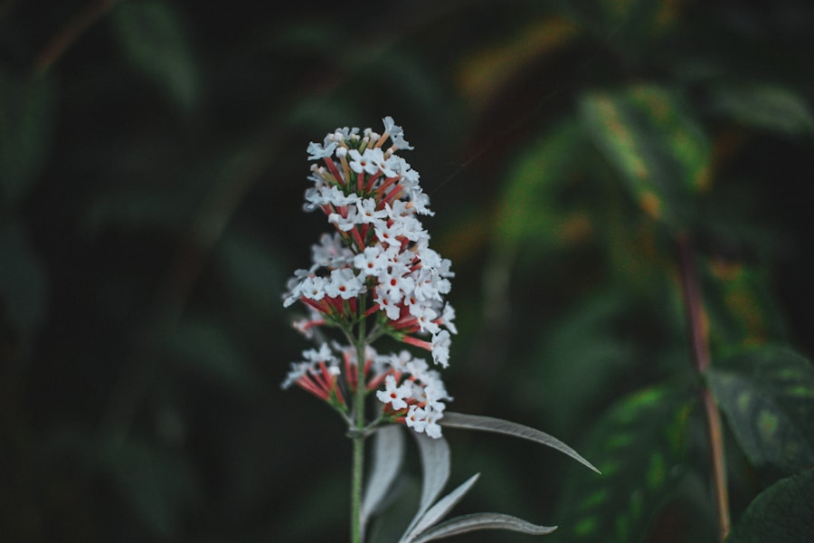 natural scents