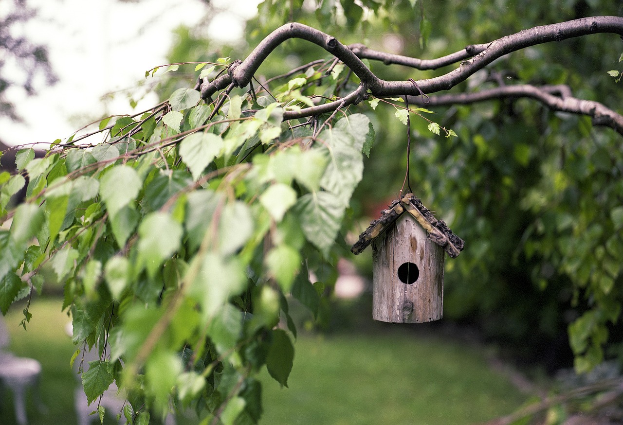 Oude houten planken in vogelvoederhuisjes transformeren.