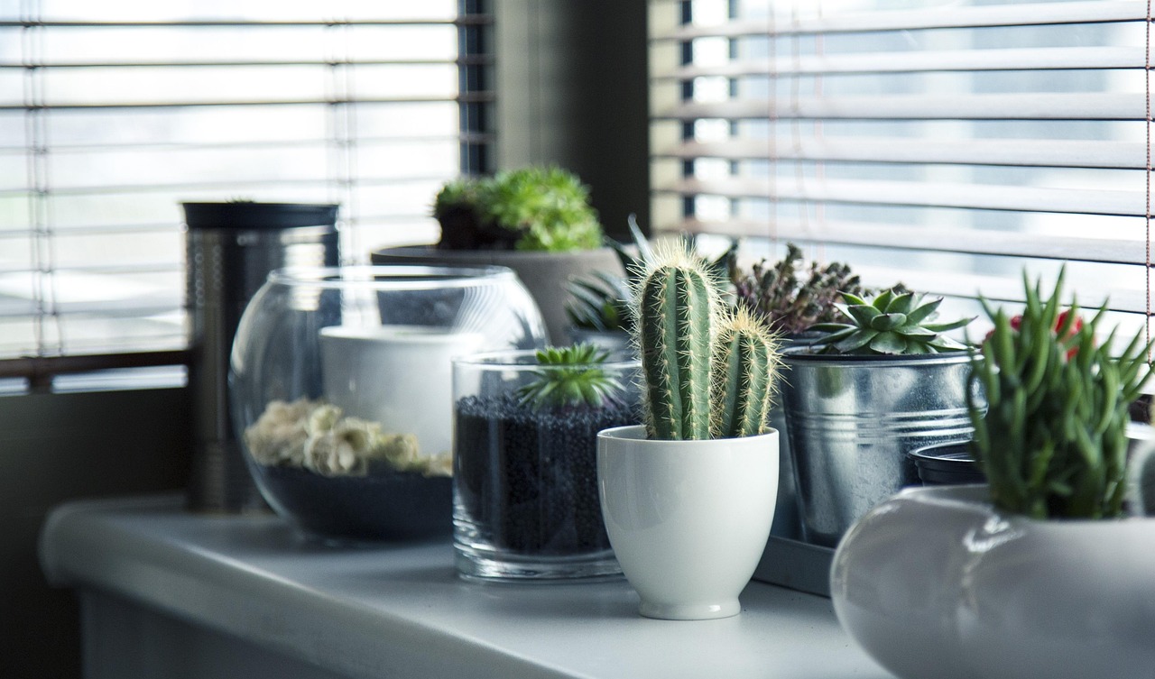 Macramé pot met hangplant bij minimalistisch interieur.