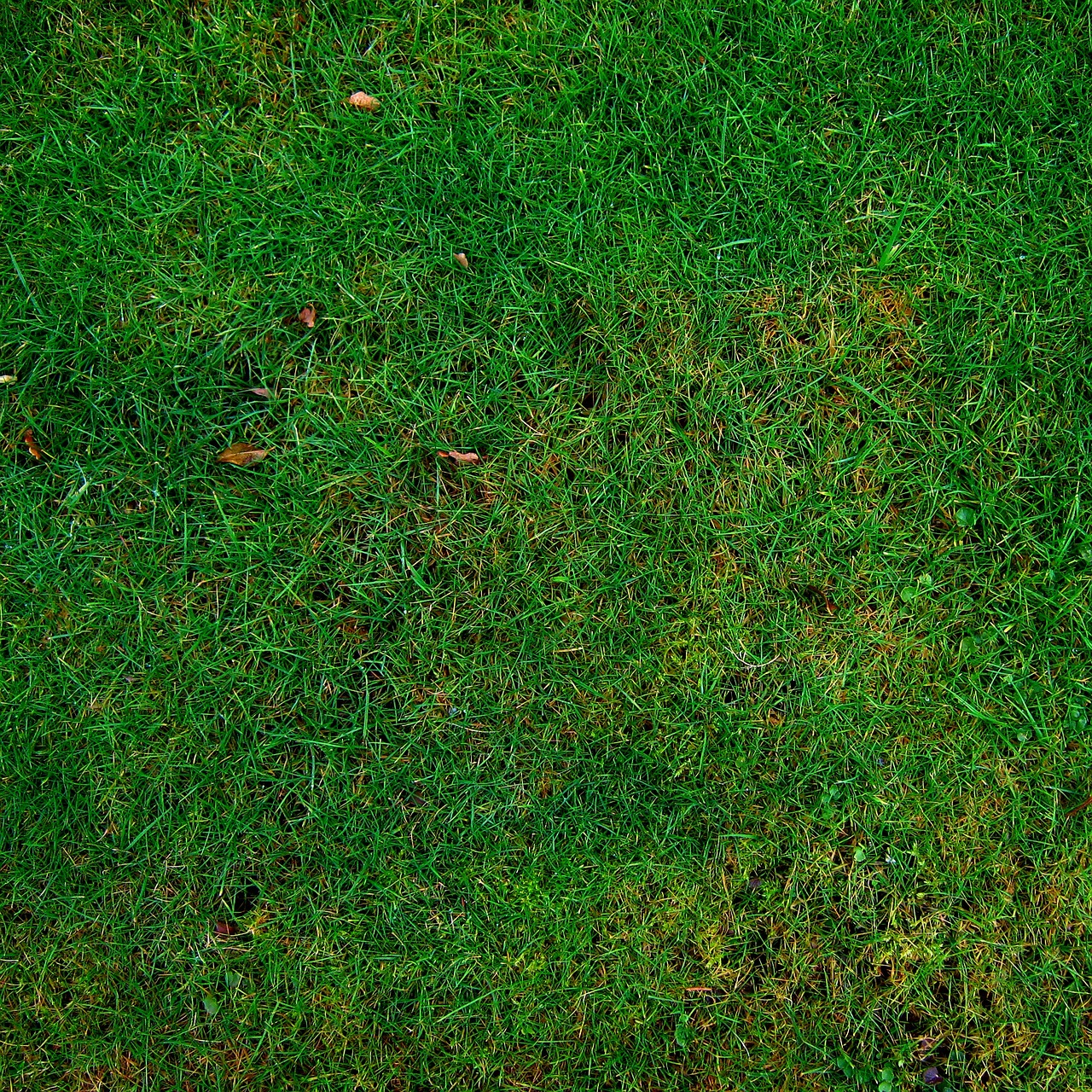 Gezellige tuin zithoek met kleurrijke kussens.